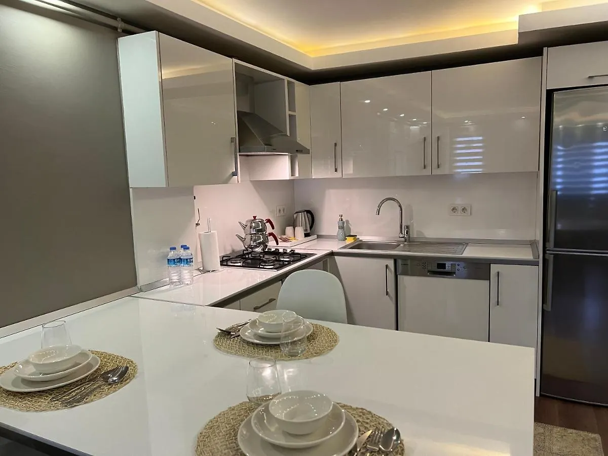 Barbaros Suite Istanbul Apartment