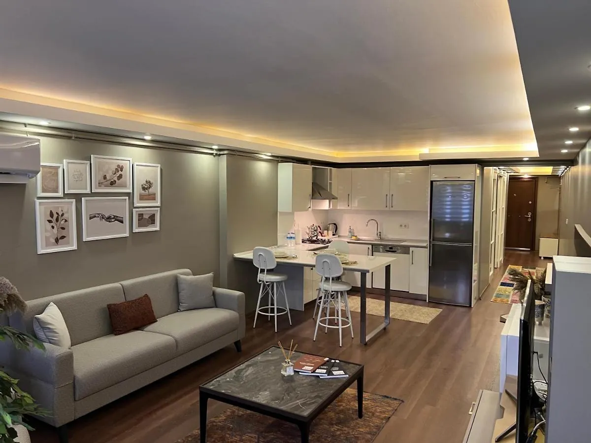 Barbaros Suite Istanbul Apartment
