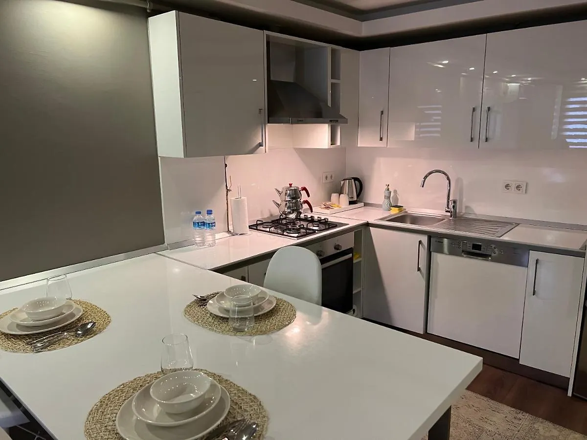Barbaros Suite Istanbul Apartment